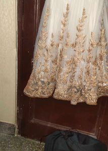 Elegant Ethnic Gown