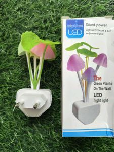 Night Light Mashroom Lamp (Colourful)