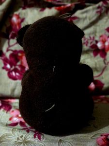 Cute Teddy Bear