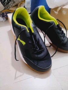 Puma Indoor Sports Shoes