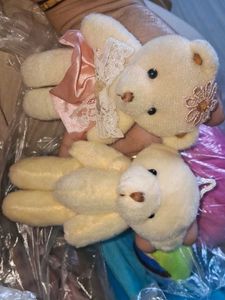 Cute Little Couple Teddy