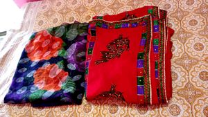 Beautiful Saree 2