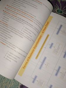 Class 11 Business Book