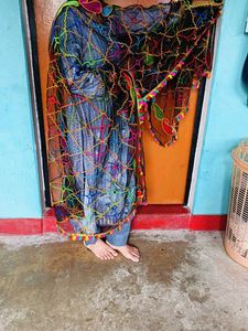 Embroidered Net Dupatta