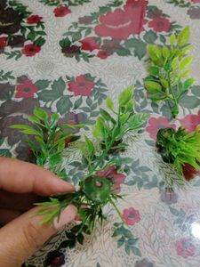Plastic Grasses And Plants