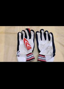 Prime Sports Test Cricket Gloves