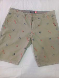 Shorts For Men