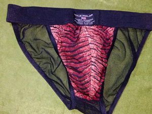 Men Pole Polar Transparent Tiger Print Briefs