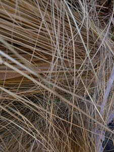 Flower Vase| Grass Items Premium