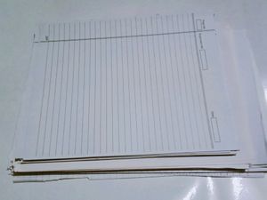200+ Loose Pages