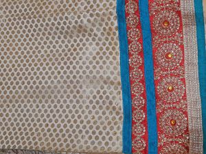 Embroidered Sari with Blue Marron Accents