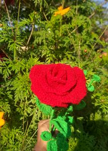 Crochet Valentine Large Rose 🌹❤️