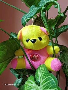 Combo Of Two Teddy Bear 🧸