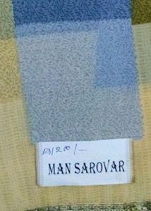 A  New Chiffon Saree