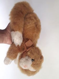 Cat Plush😺