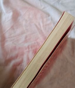 Paige The Pantomime Fairy Rainbow Magic Book By Daisy Meadows