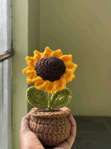 Crochet Flowers