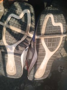 Blue Spartan Sport Shoes