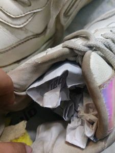Sneaker Shoes