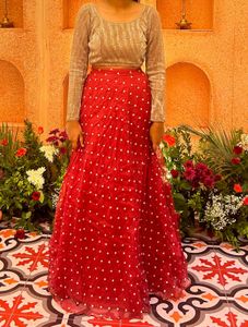 Red Embroidered Lehenga With Sequin Top