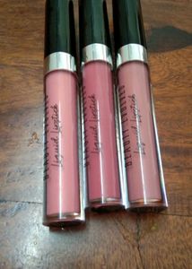 beauty evolved brand lipsticks
