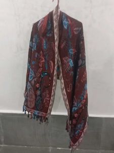 Floral Paisley Pashmina Shawl