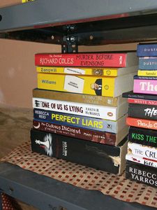 Mixed Fiction &amp; Non-Fiction Book Bundle