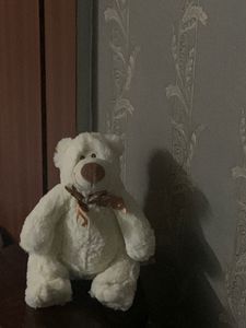 Teddy Bear