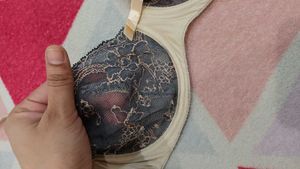 Lace Bra 32 C