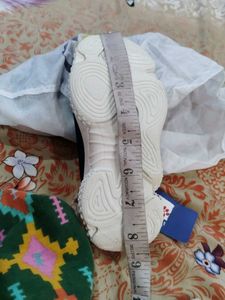 Shoe