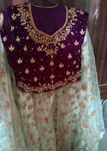 Beautiful Pastel Green Lehnga With Wine Blouse