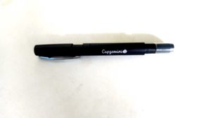 Capgemini Flashlight Pen