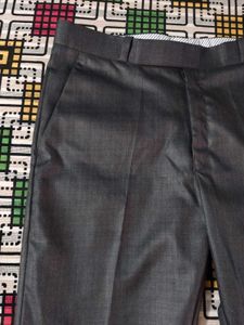 Gray Slim Fit Pant