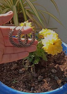 New Earings