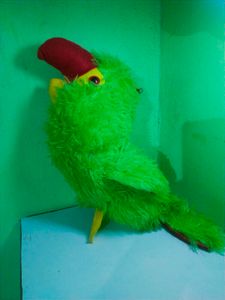 Bird toys combo pack!!