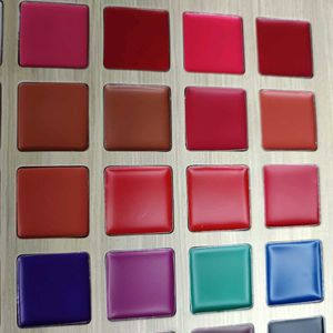 Brand New Delanci Lip Palatte