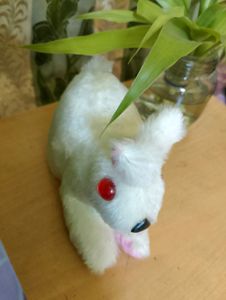 Cotton Rabbit