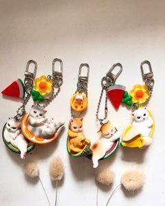 Fruit Cat Keychain ✨