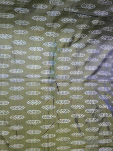 Vintage Udisa Patola Silk Saree