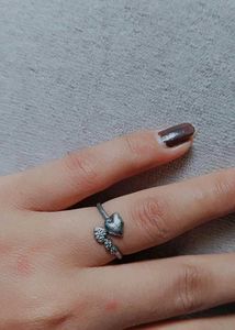 6 Rings For Women