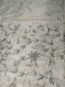 Cream Colour Embroidered Saree