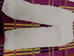 max casual Pants (light green colour)