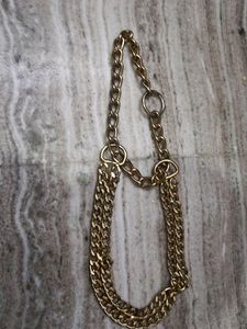 Dog Fancy Choke Chain Collar