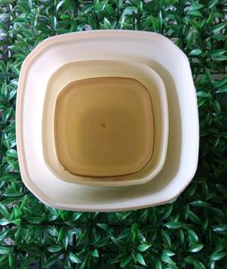 3 In One Combo Container/ Large Medium Small