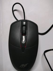 Computer Mouse