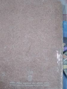 SNAPSHOT Class 11 NCERT English Book