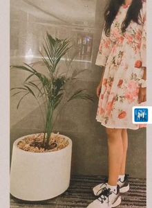 Floral Print Tiered Midi Dress