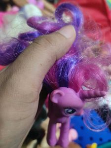 Pony