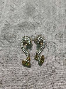 Elegant Dangle Earrings