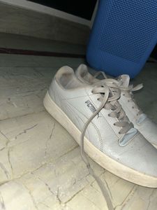 Puma Original Grey Sneaker
